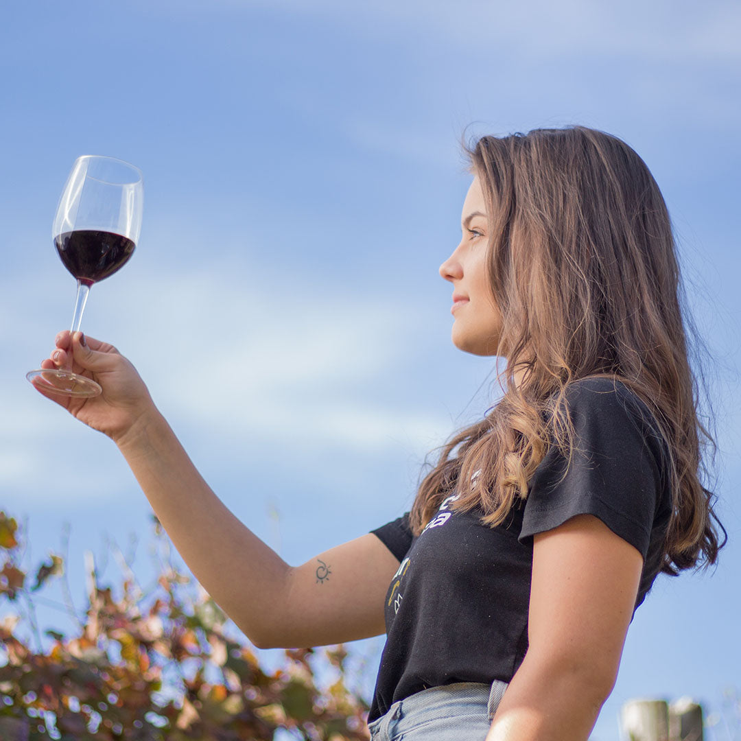 Aromas e Sabores no Vinho: Por que Buscamos a Complexidade Sensorial?