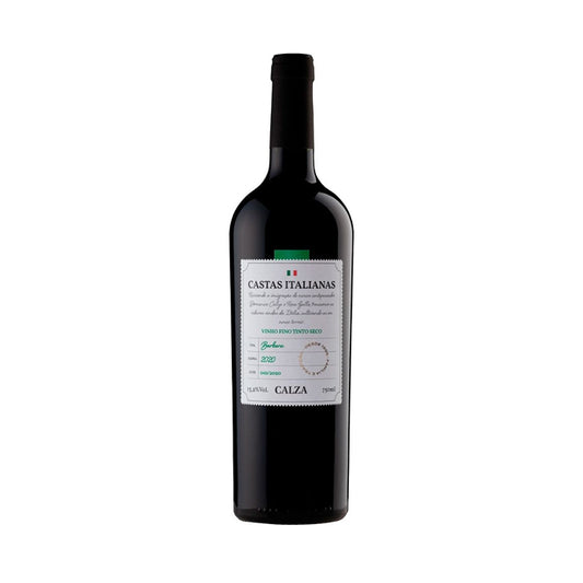 Vinho Tinto Barbera Castas Italianas - Vinícola Calza